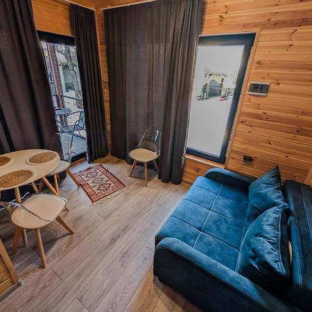 Inga Jafaridze Guesthouse Pele Mestia Zewnętrze zdjęcie