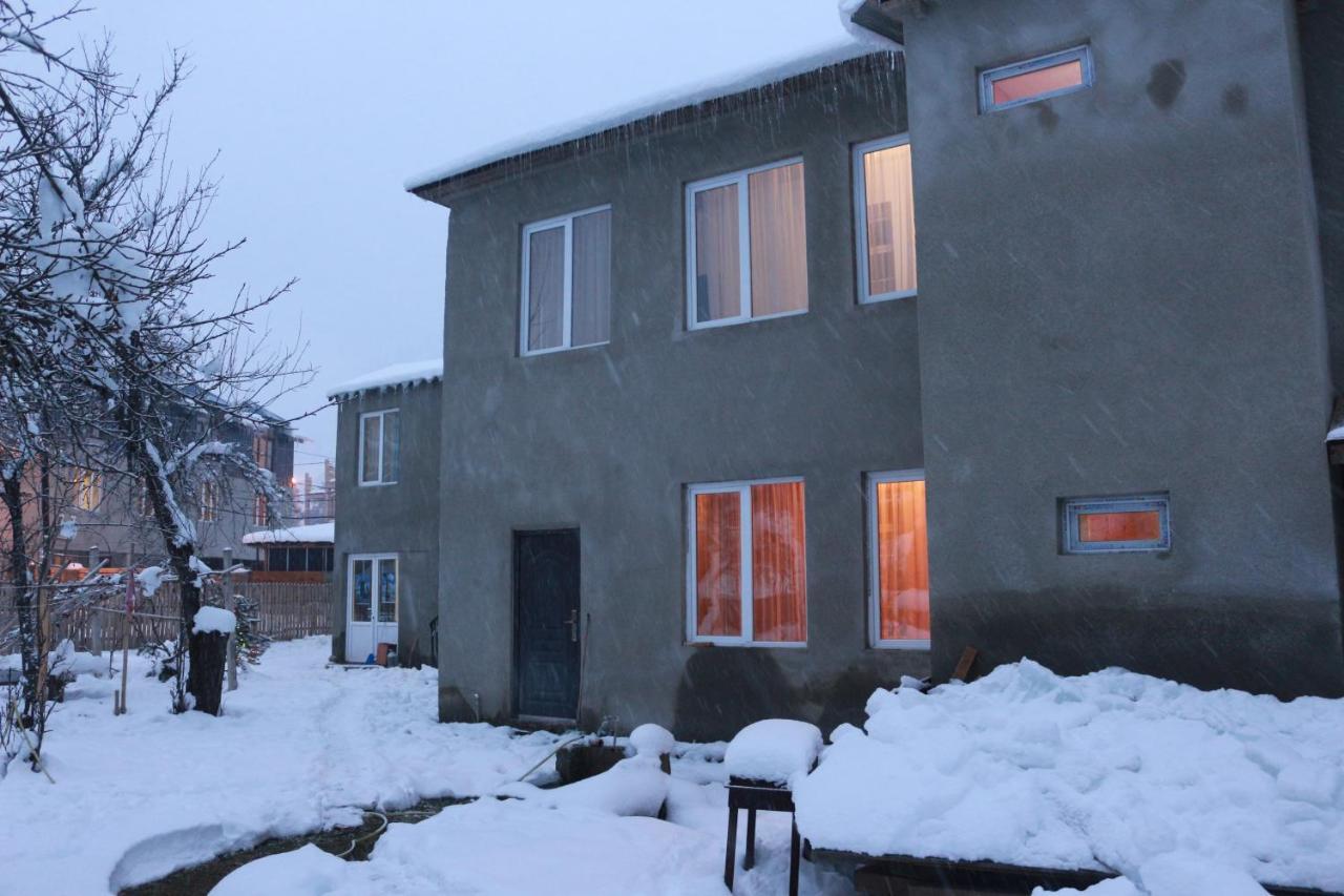 Inga Jafaridze Guesthouse Pele Mestia Zewnętrze zdjęcie